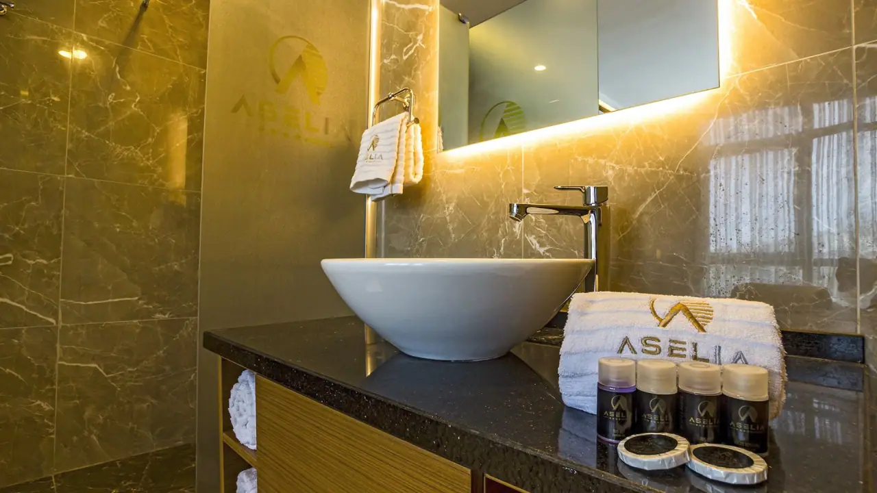 Aselia hotel